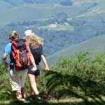 Quelles randonnées pouvez-vous faire à Villandraut durant votre séjour__cc-villandraut.fr