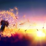 la psychologie énergétique