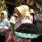 Tour du monde culinaire : les aliments les plus étranges à déguster