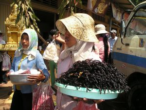 Tour du monde culinaire : les aliments les plus étranges à déguster