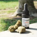 ICEROCK CBD
