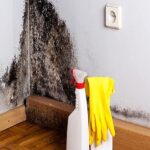Moisissure sur les murs causes et comment l'enlever !