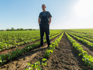 entreprise agricole