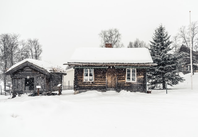 maison en bois