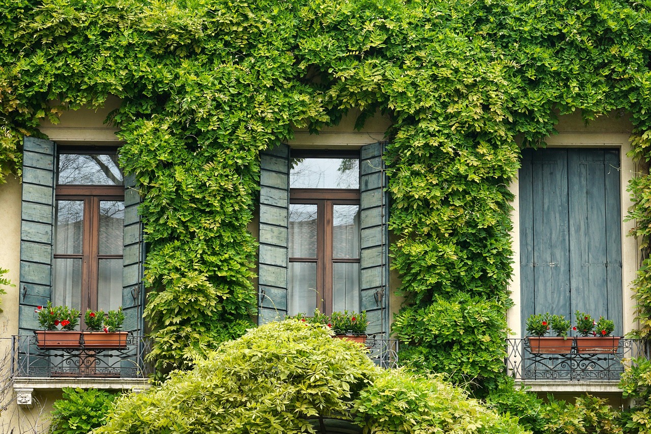 vitres et volets de maison