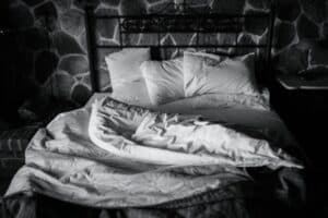 punaises de lit