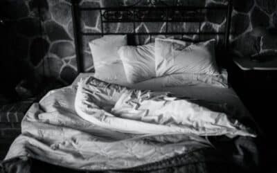 punaises de lit