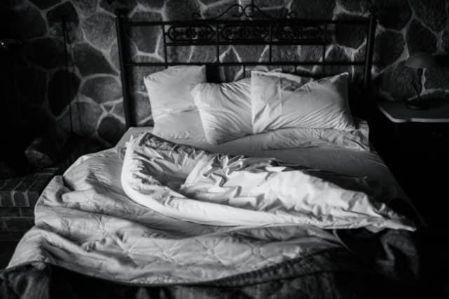 punaises de lit