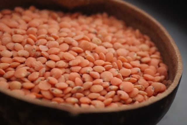 lentilles nutritionnelles