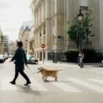 a woman walking a dog across a street