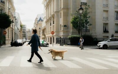 a woman walking a dog across a street