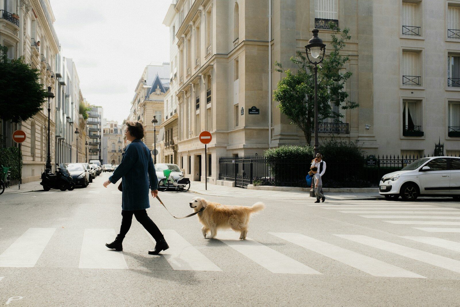 a woman walking a dog across a street