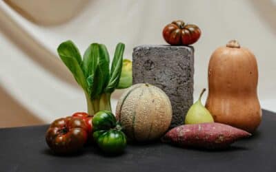 Repas en voyage : bien s’organiser pour manger facilement pendant les vacances
