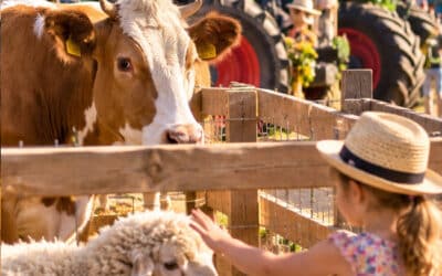 fête agricole